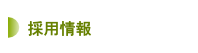 採用情報