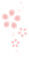 さくら さくら